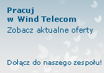 wt_pracuj_w_wind.png